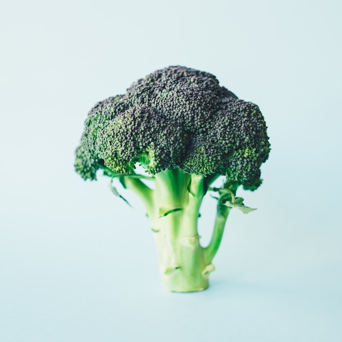 Farm Fresh Broccoli